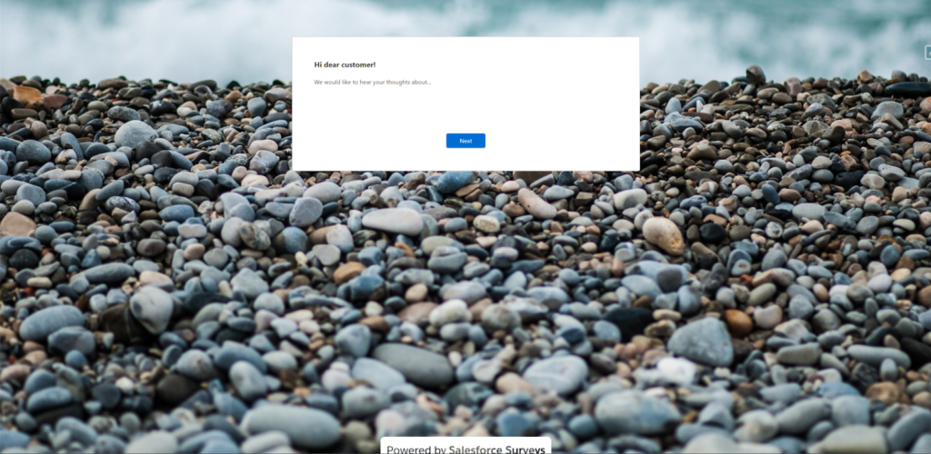 Salesforce Standard Survey Example 2