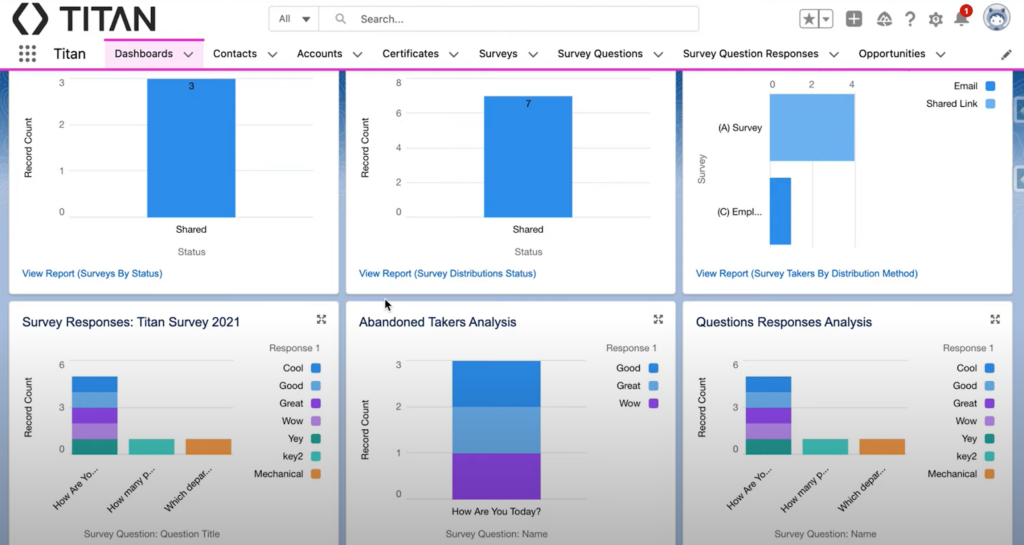 TITAN Survey for Salesforce Dashboard Types