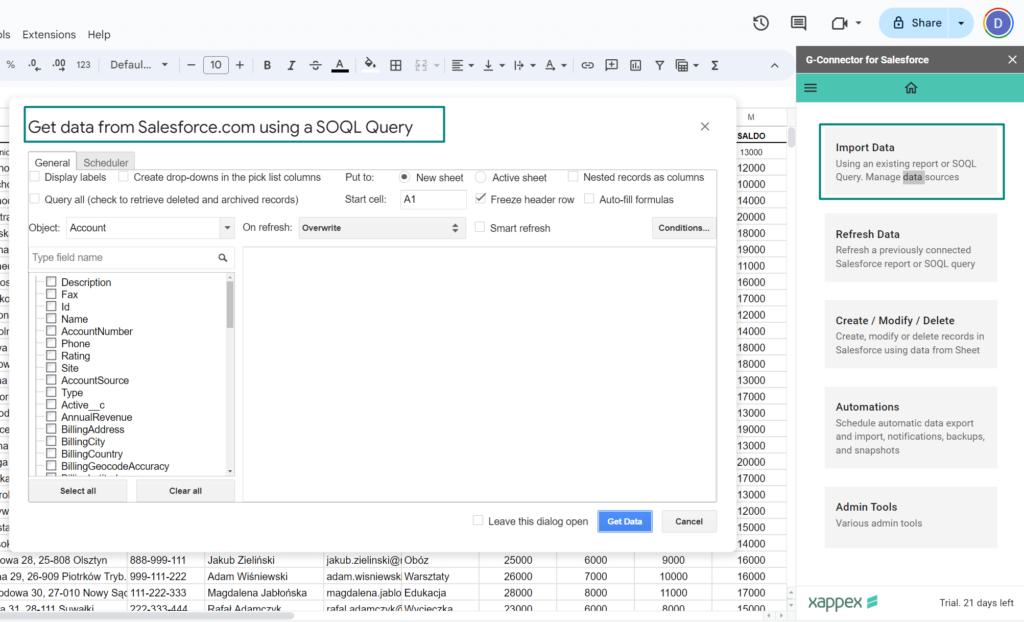 Import Salesforce Data into Google Sheets