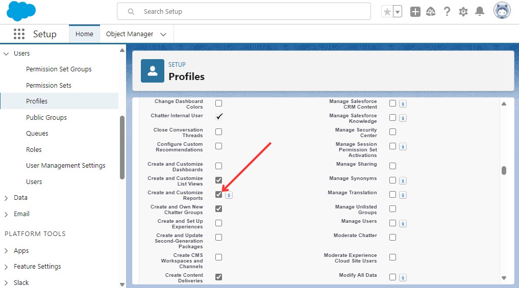 Create and Customize Reports Permission in Profile settings