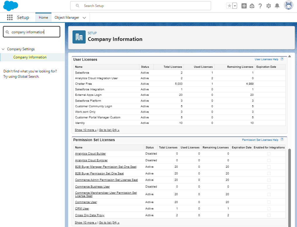 License Usage Overview in Setup