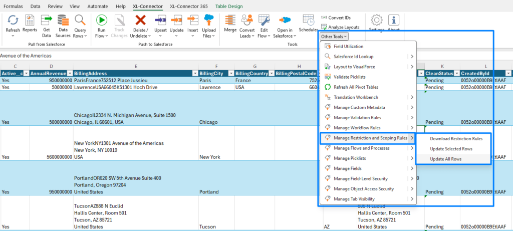 Manage Salesforce Scoping and Restriction Rules