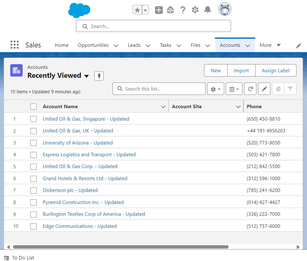 Salesforce Org Accounts tab with changed Account names