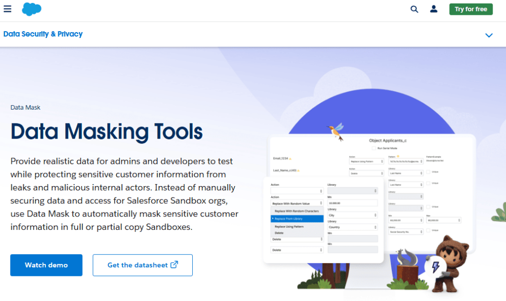 Data Masking Tools on Salesforce Website