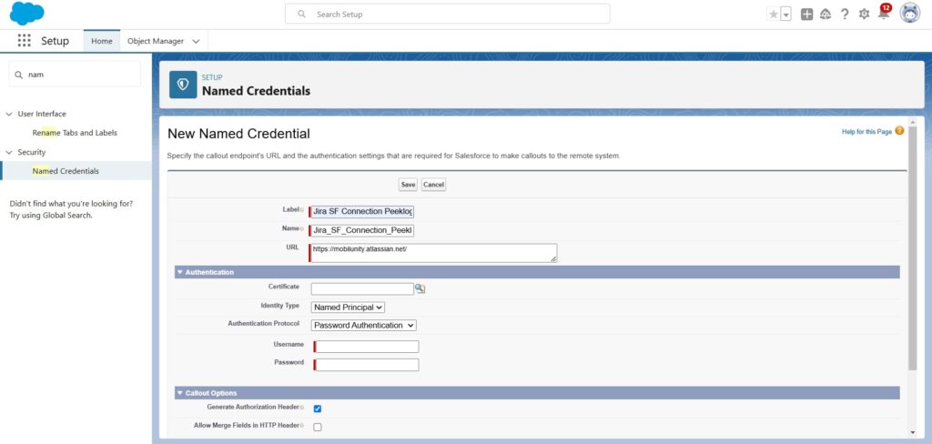 Filling in the required fields