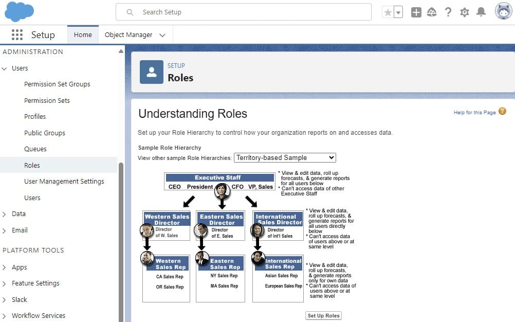 Role Hierarchy Settings in Setup