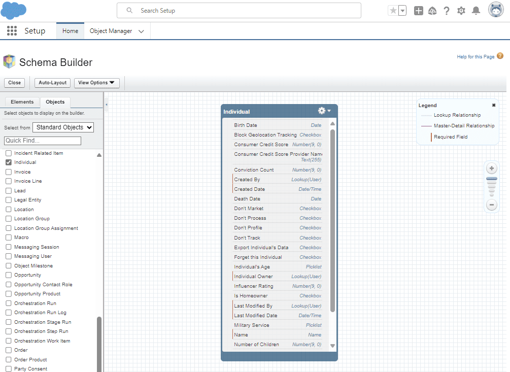 Salesforce Individual Standard Object in Setup