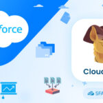 Cloudingo Review Top Salesforce Data Cleansing Tool Thumbnail